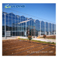 Vidreras de plantación de vegetales hidropónicos invernadero